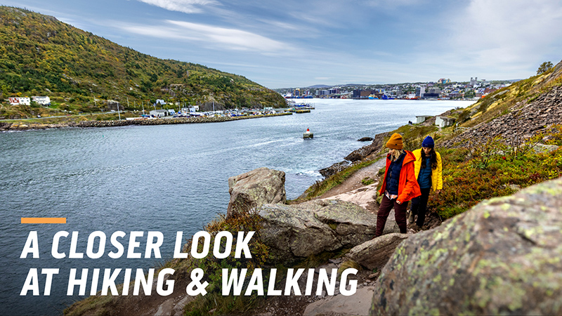 Image for Welcome Desk: A Closer Look at Hiking and Walking